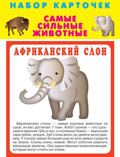 САМЫЕ СИЛЬНЫЕ ЖИВОТНЫЕ