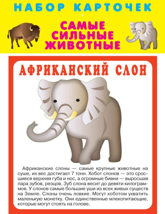 САМЫЕ СИЛЬНЫЕ ЖИВОТНЫЕ