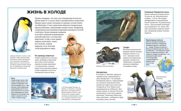 Иллюстрированная энциклопедия животных