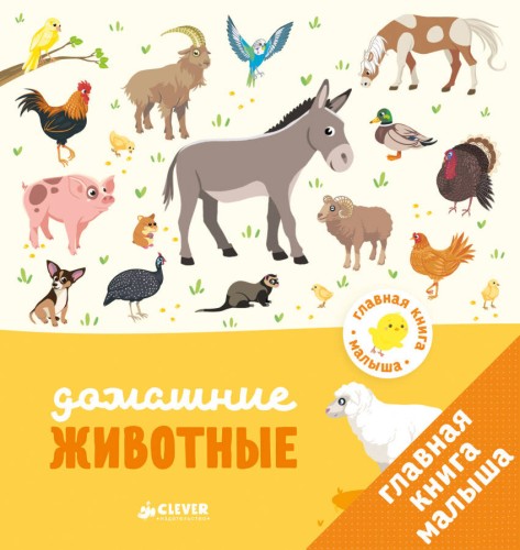 Главная книга малыша. Домашние животные