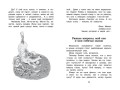 Дневник фокса Микки