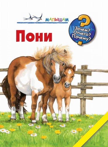 Пони