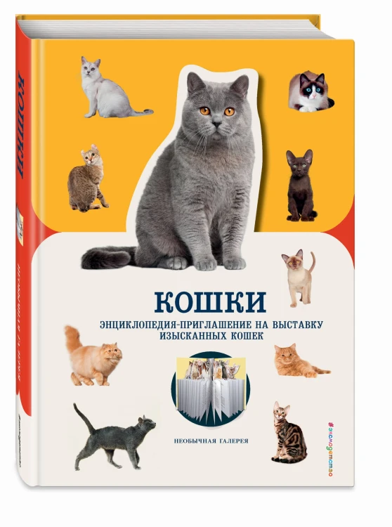 Кошки