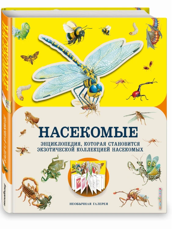 Насекомые