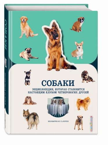 Собаки