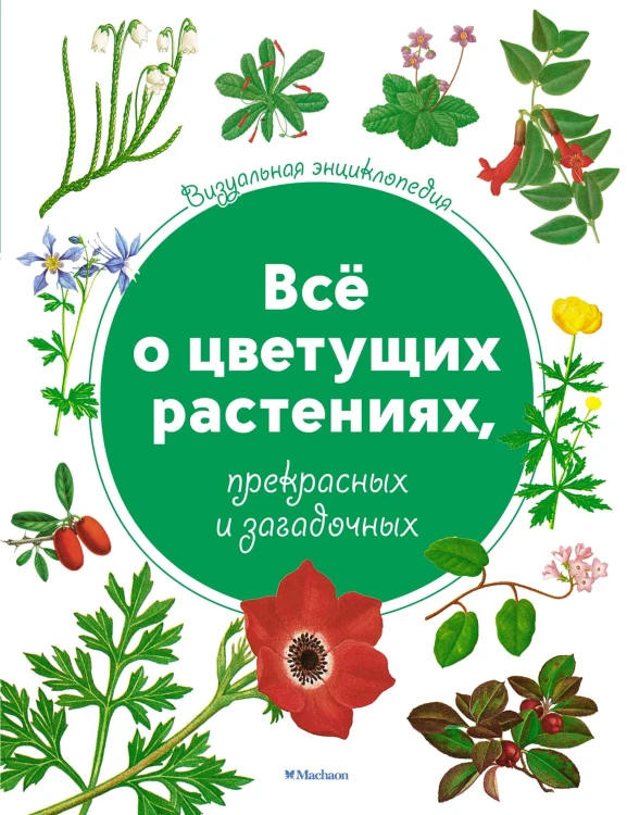 Визуальная энциклопедия. Всё о цветущих растениях, прекрасных и загадочных