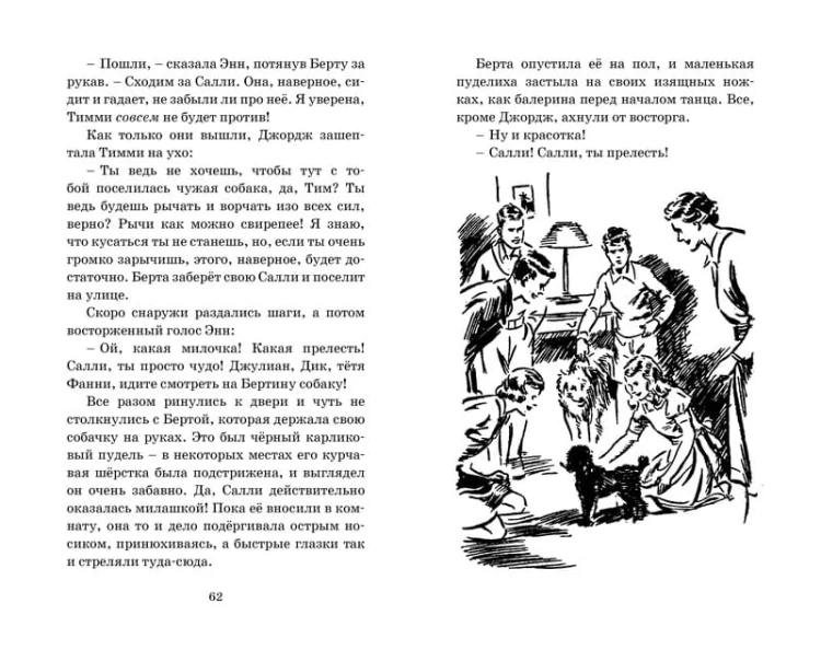 Тайна серебристого лимузина. Кн.14