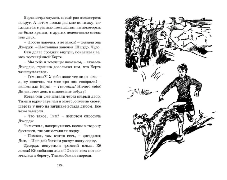 Тайна серебристого лимузина. Кн.14