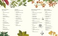 Выдающиеся растения, которые изменили нашу жизнь