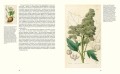 Выдающиеся растения, которые изменили нашу жизнь
