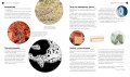 СуперТочки. Уникальная книга для развития креативности