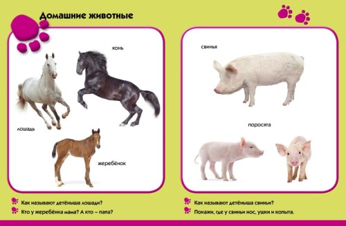 Лето в деревне. Развиваем малыша (1-2 года)