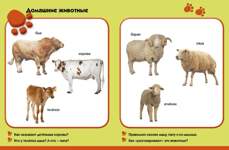 Лето в деревне. Развиваем малыша (1-2 года)