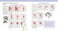 Объемная вышивка. Неисчерпаемый источник вдохновения