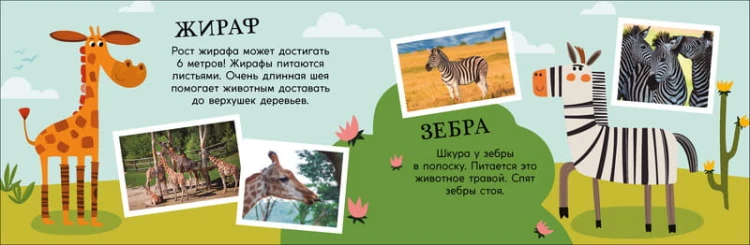 Зоопарк. Поезд знаний