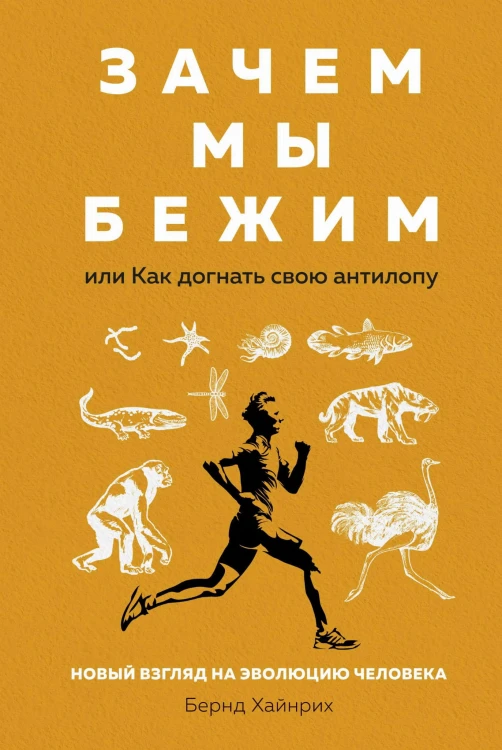 Зачем мы бежим, или Как догнать свою антилопу. Новый взгляд на эволюцию человека