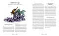 Атлас естественной красоты. Натуральные ингредиенты для ухода за кожей и приумножения вашей красоты