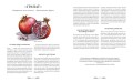 Атлас естественной красоты. Натуральные ингредиенты для ухода за кожей и приумножения вашей красоты