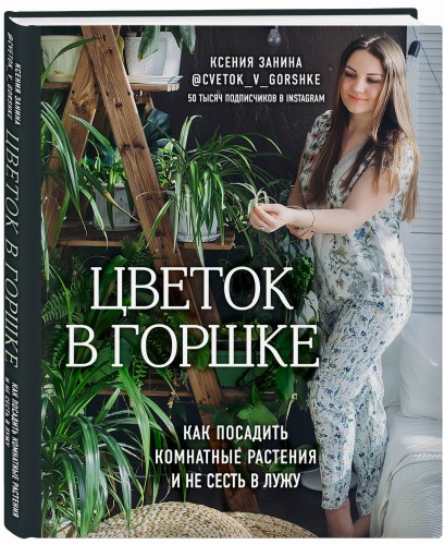Цветок в горшке. Как посадить комнатные растения и не сесть в лужу