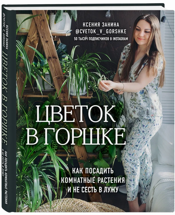 Цветок в горшке. Как посадить комнатные растения и не сесть в лужу