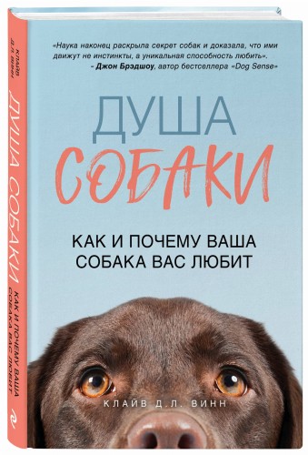 Душа собаки. Как и почему ваша собака вас любит