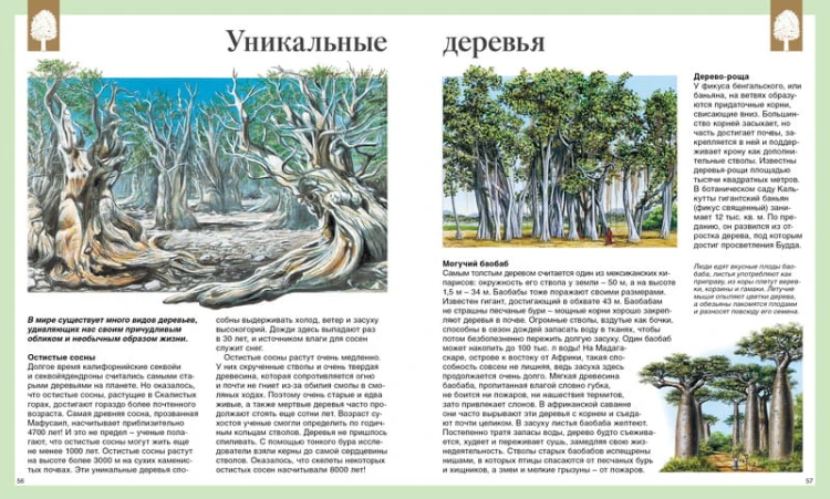 Детская энциклопедия. 250 чудес света (нов.оф.)