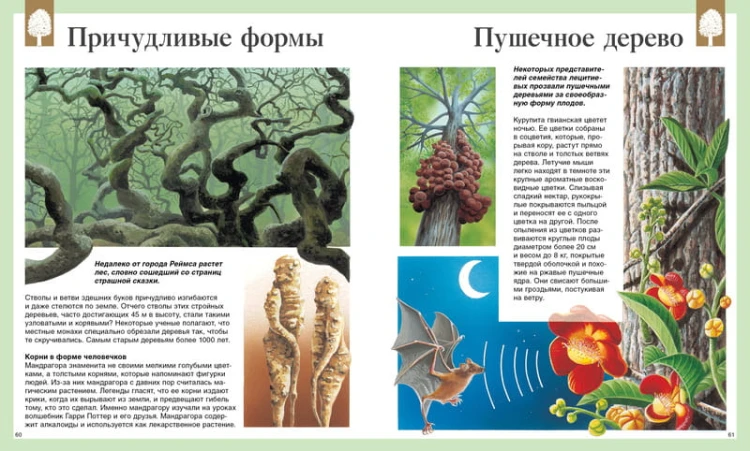Детская энциклопедия. 250 чудес света (нов.оф.)