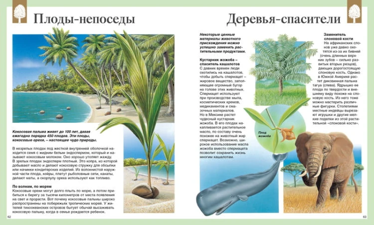 Детская энциклопедия. 250 чудес света (нов.оф.)