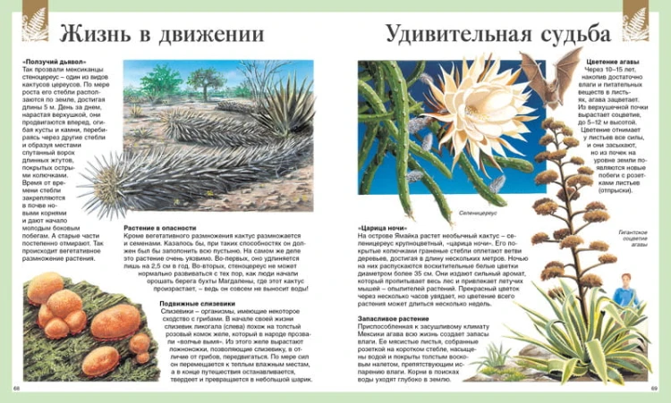 Детская энциклопедия. 250 чудес света (нов.оф.)