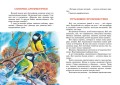 Лесные тайнички