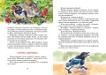 Лесные тайнички