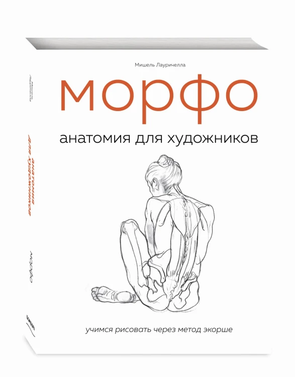 МОРФО. Анатомия для художников