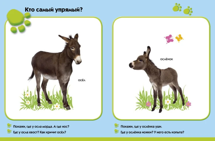 На ферме. Развиваем малыша (0-1 год)