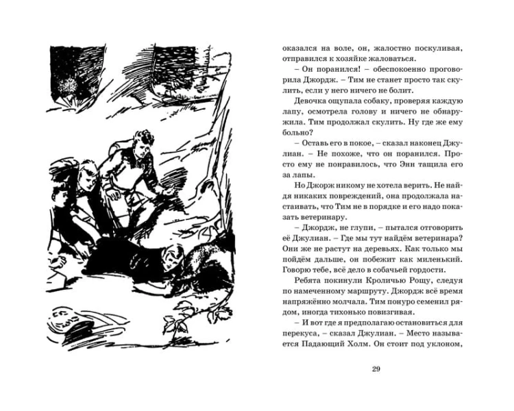 Подарок для королевы. Кн.10
