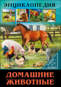 Домашние животные