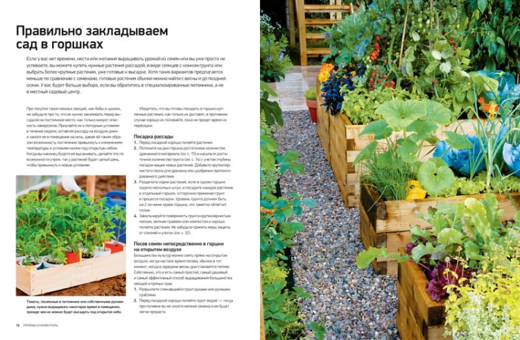 Сад и огород в горшках и контейнерах