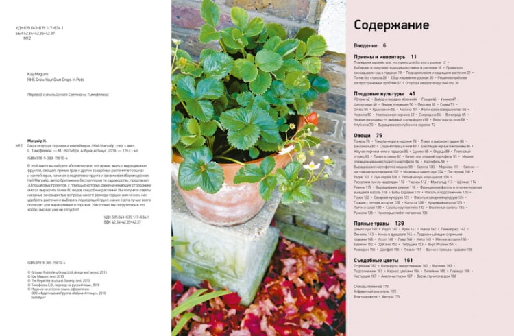 Сад и огород в горшках и контейнерах
