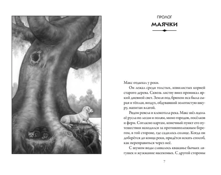 Верные. Книга 3. Дорога чудес и невзгод