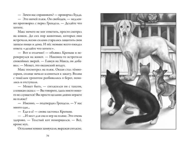 Верные. Книга 3. Дорога чудес и невзгод