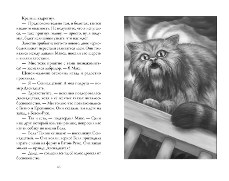 Верные. Книга 3. Дорога чудес и невзгод
