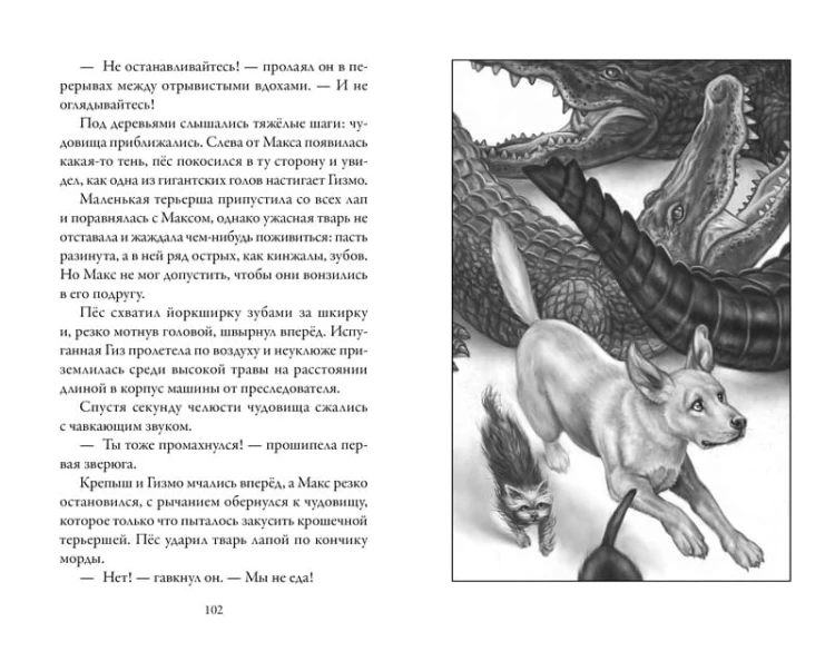 Верные. Книга 3. Дорога чудес и невзгод