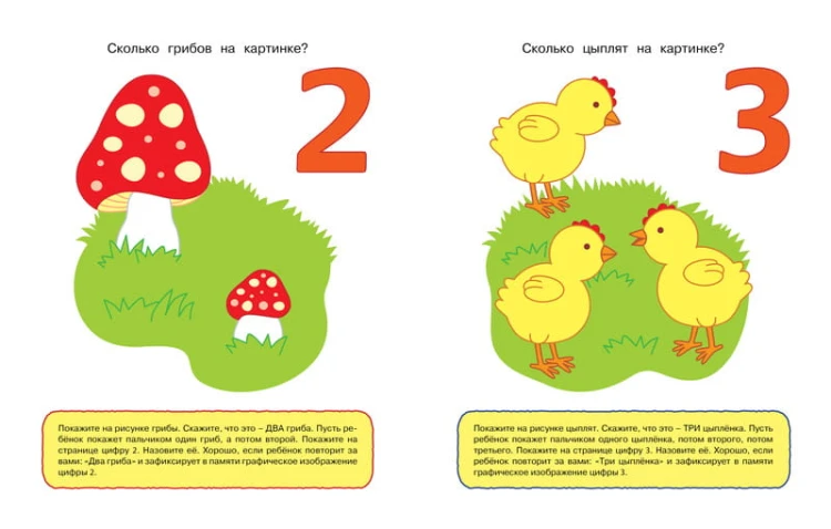 Цифры и числа (1-2 года)