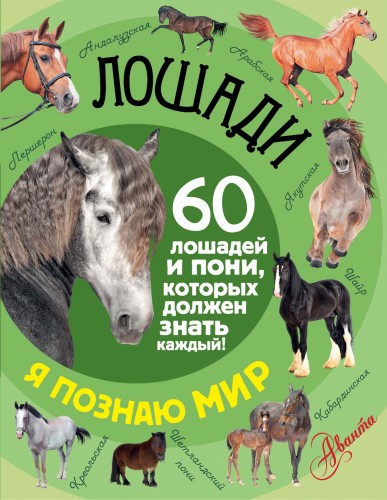 Лошади