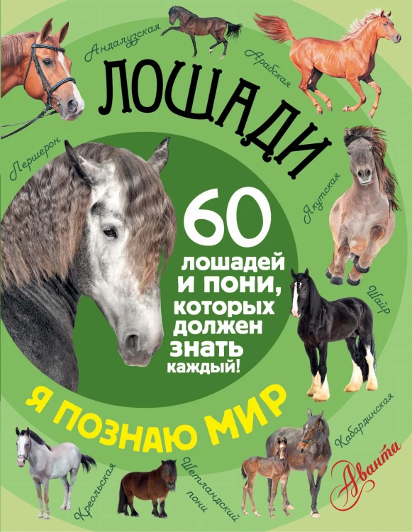 Лошади