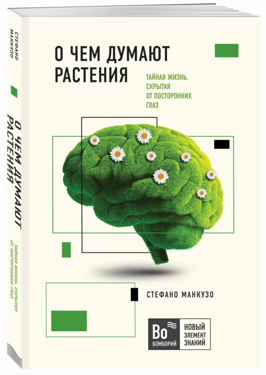 О чем думают растения