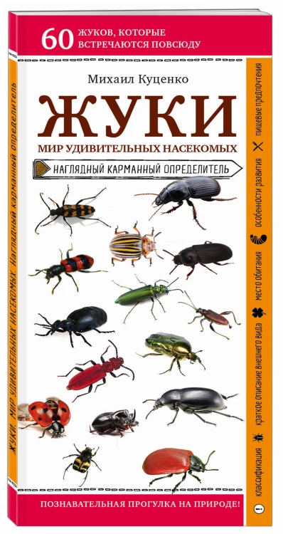Жуки. Мир удивительных насекомых