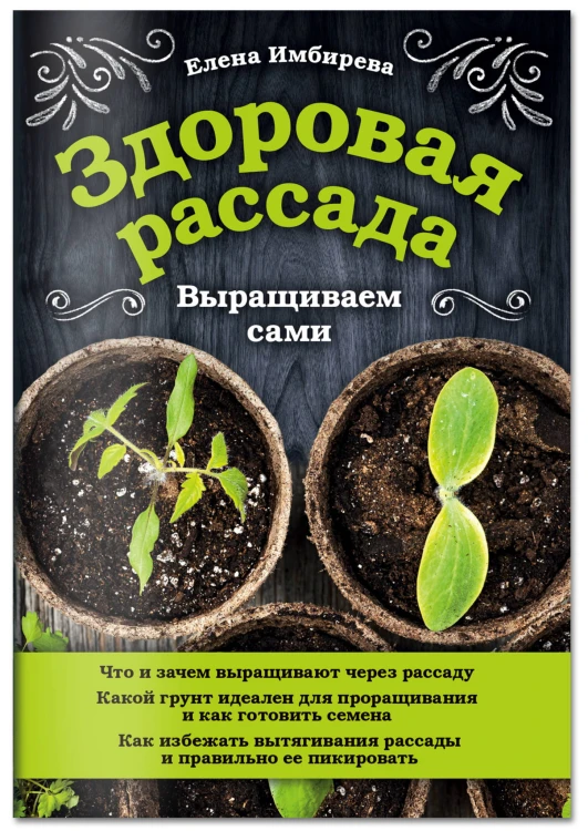 Здоровая рассада. Выращиваем сами