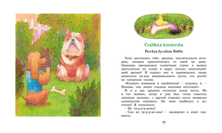 Медвежонок Тедди и другие сказки