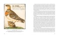 Иллюстрированная история орнитологии