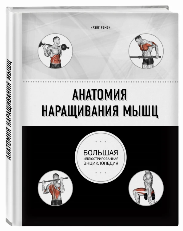 Анатомия наращивания мышц
